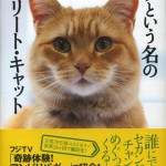 cat_bob
